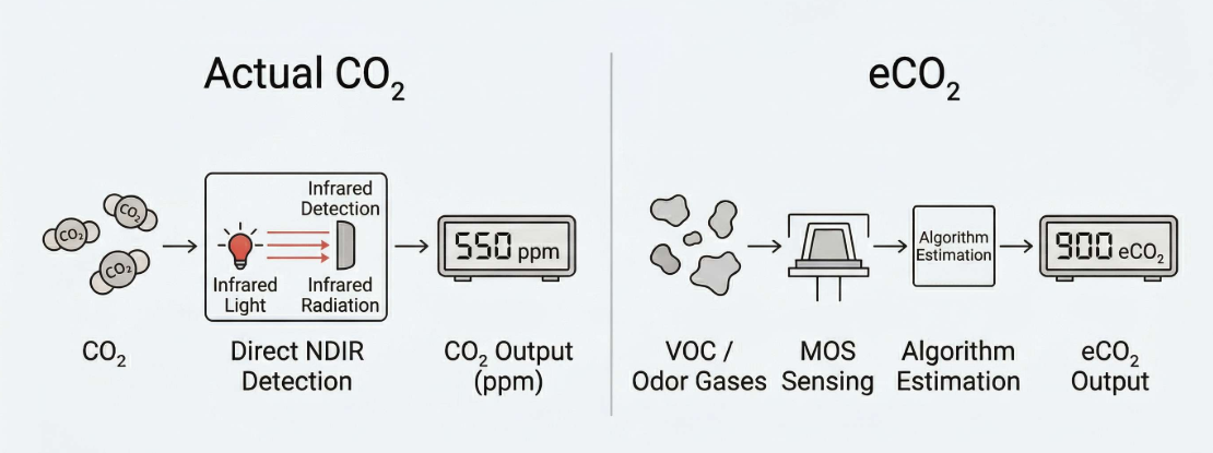 eCO? 與真實 CO? 的區(qū)別示意圖